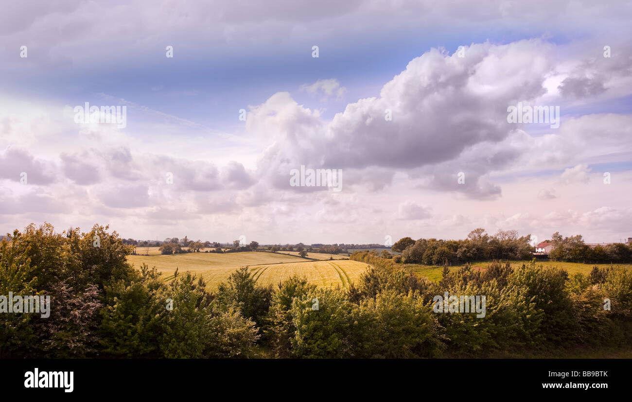 Summer cloud sky over a rural landscape, Herts Beds UK Stock Photo