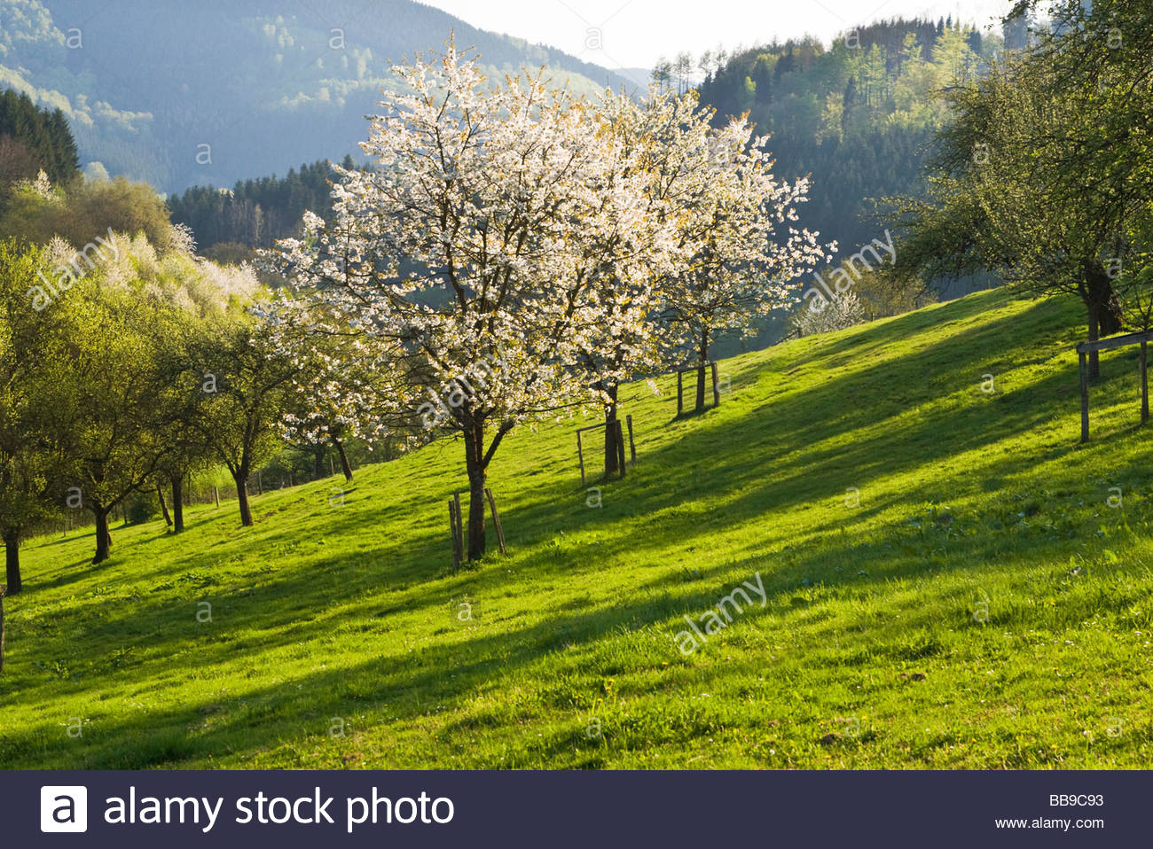 Pin By Nahum Goodenow On Berry Hill Landscape Landscape Travel And Tourism Tourism