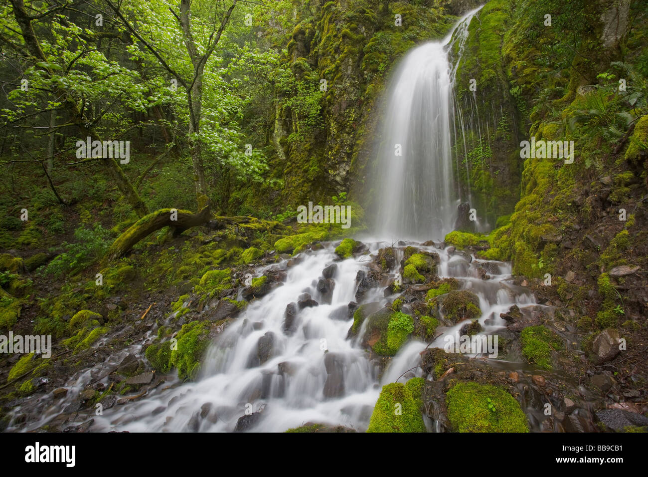 Lancaster Falls in the Columbia National Scenic Area. OR Stock