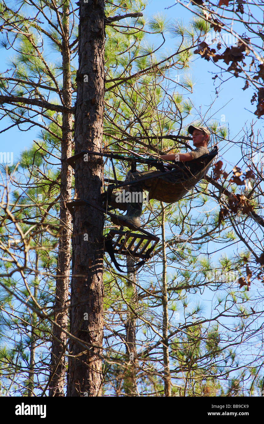 HUNTER SITTING IN A TREE STAND HIGH IN A PINE FOREST MOSSY OAK CAMO MARLIN 1895 XLR 45 CALIBER Stock Photo