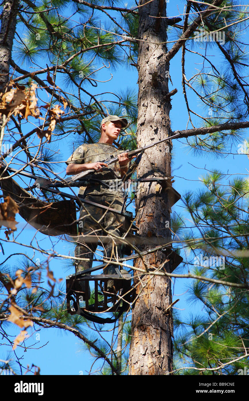 CLOSE UP HUNTER STANDING IN TREE STAND HOLDING WEAPON AT THE READY HIGH IN A PINE FOREST LOOKING LISTENING SEARCHING FOR GAME Stock Photo