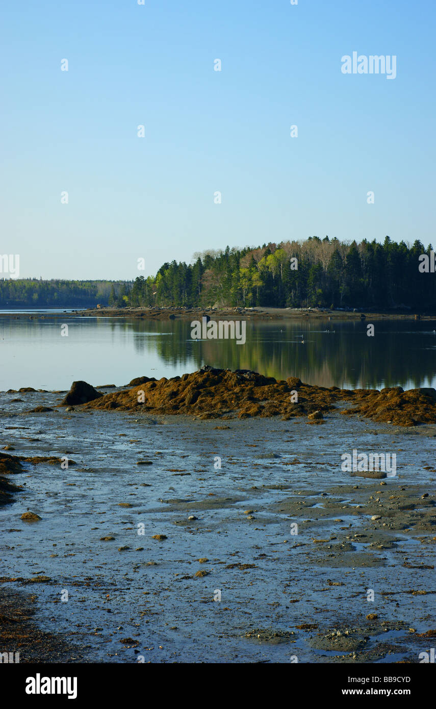 Little deer isle maine hires stock photography and images Alamy
