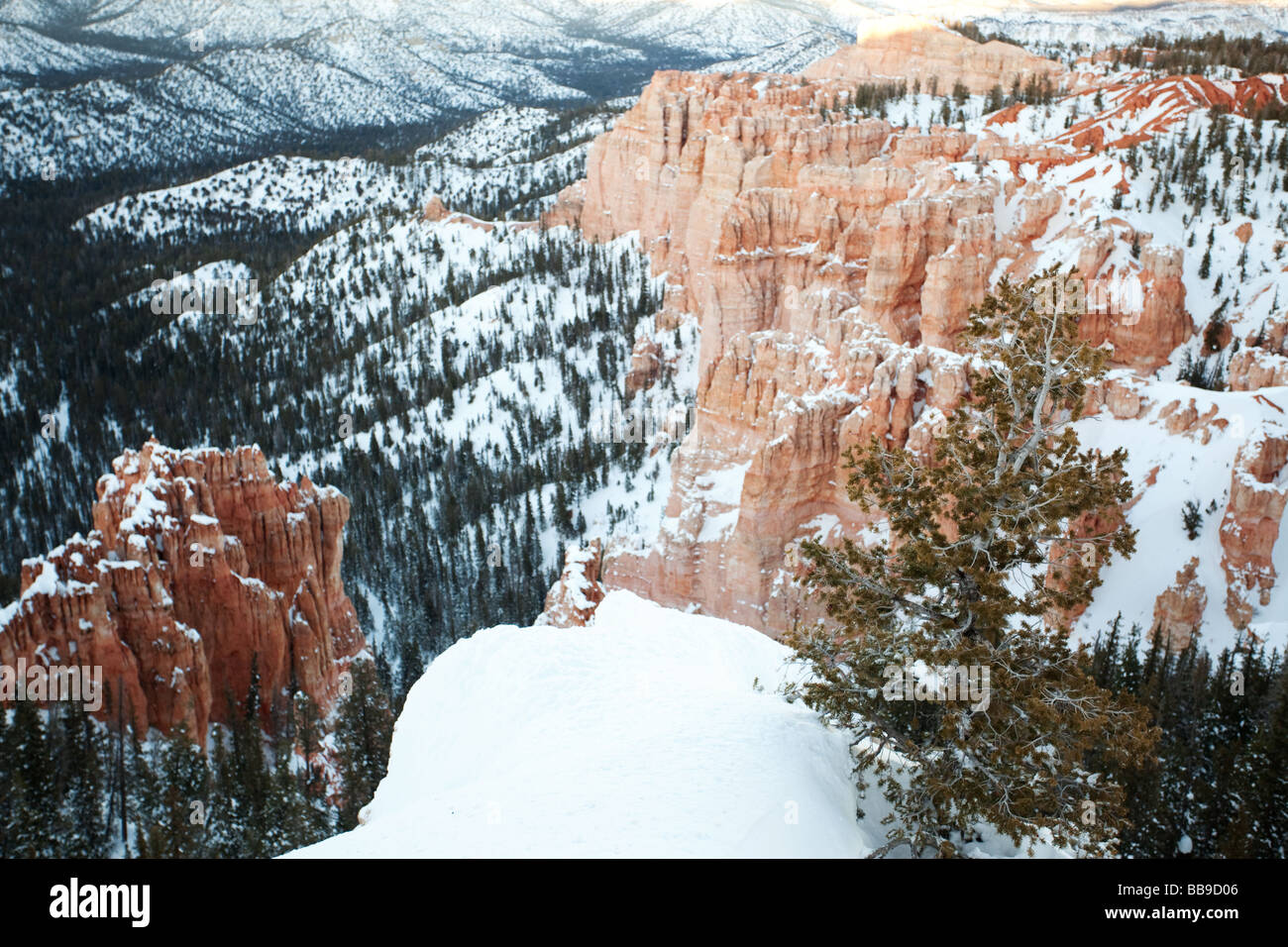 Bryce Canyon National Park in Winter Snow, Garfield County and Kane County, Utah, United States Stock Photo