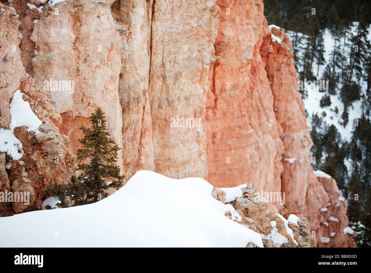 Bryce Canyon National Park in Winter Snow, Garfield County and Kane County, Utah, United States Stock Photo