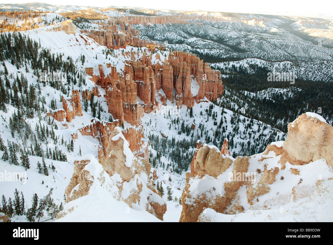 Bryce Canyon National Park in Winter Snow, Garfield County and Kane County, Utah, United States Stock Photo