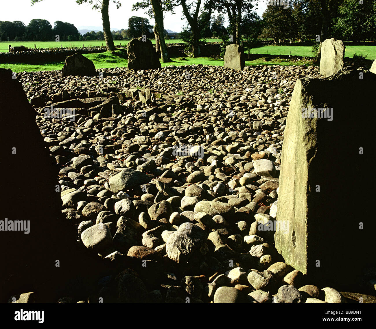 Templewood Stone Circle and Cist Kilmartin Argyll and Bute Strathclyde Scotland Stock Photo