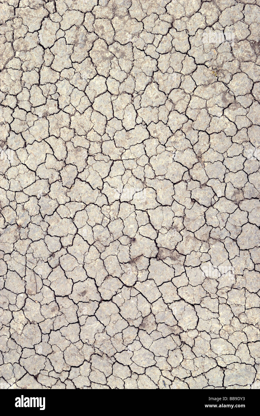 Dry cracked earth texture Stock Photo