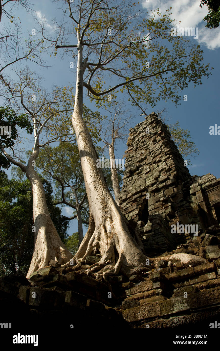 A view through the trees of the ruins of Preah Palilay, Seam Reap, Cambodia. SE Asia Stock Photo