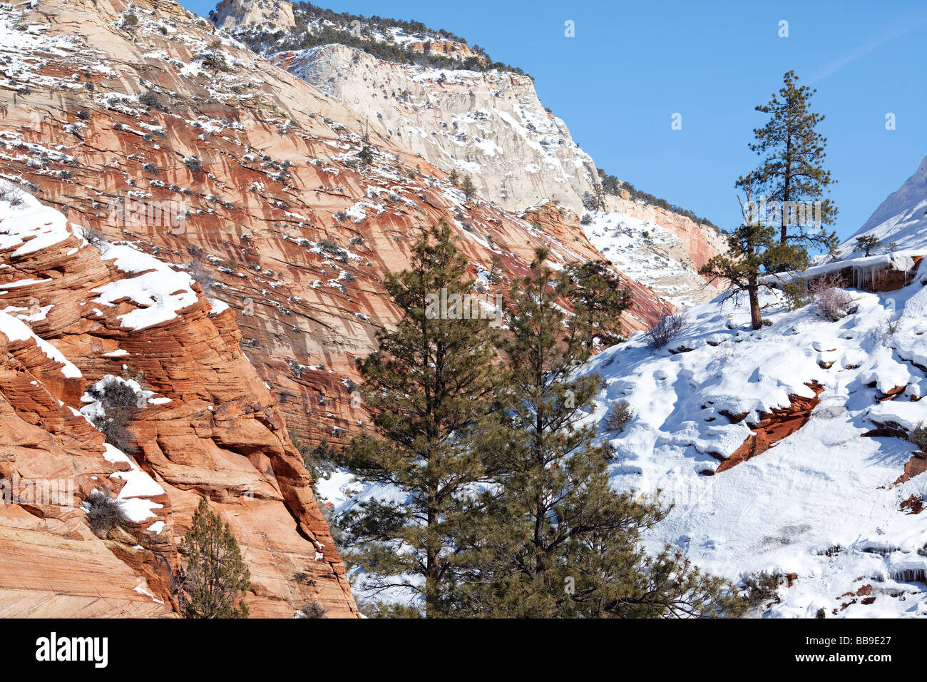 Zion National Park with Snow in Winter Utah Plateau, Zion National
