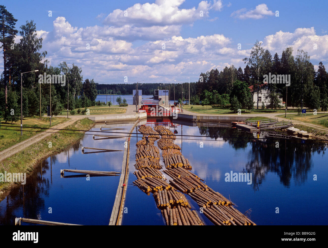 Forstwirtschaft in finnland hi-res stock photography and images - Alamy