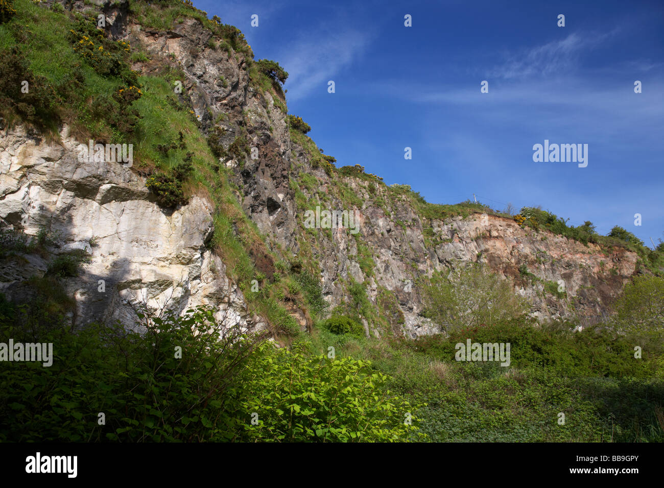 overgrown disused quarry at whitehead county antrim northern ireland uk