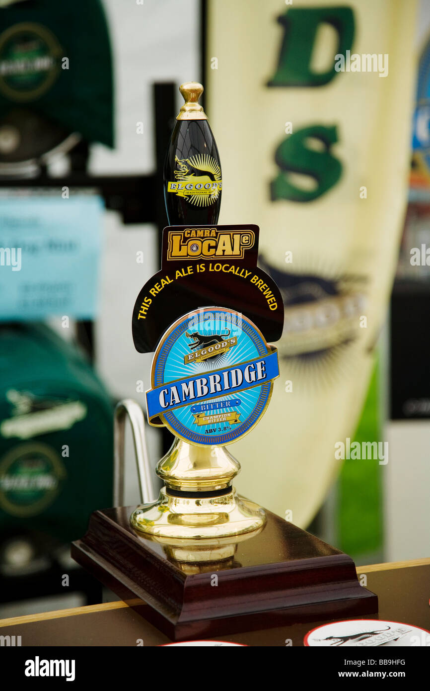 Cambridge beer festival Stock Photo Alamy