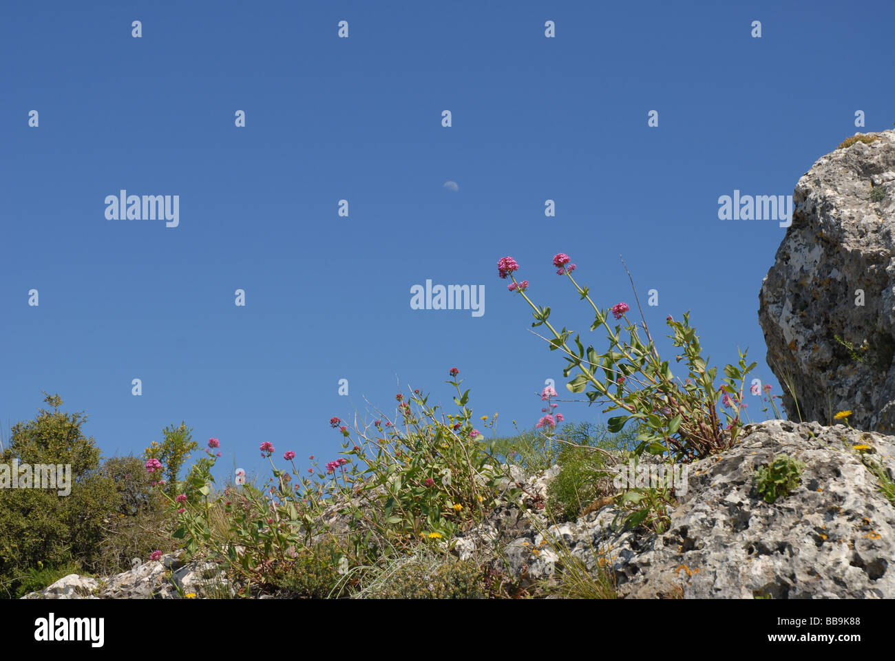 limestone ridge at La Forada rock arch, Sierra de la Forada, Alicante Province, Comunidad Valenciana, Spain Stock Photo