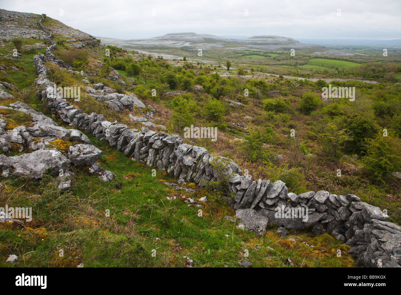 Limestone pavements and stone walls of Fahee North looking to Turloughmore Burren County Clare Ireland Eire Irish Republic Europ Stock Photo