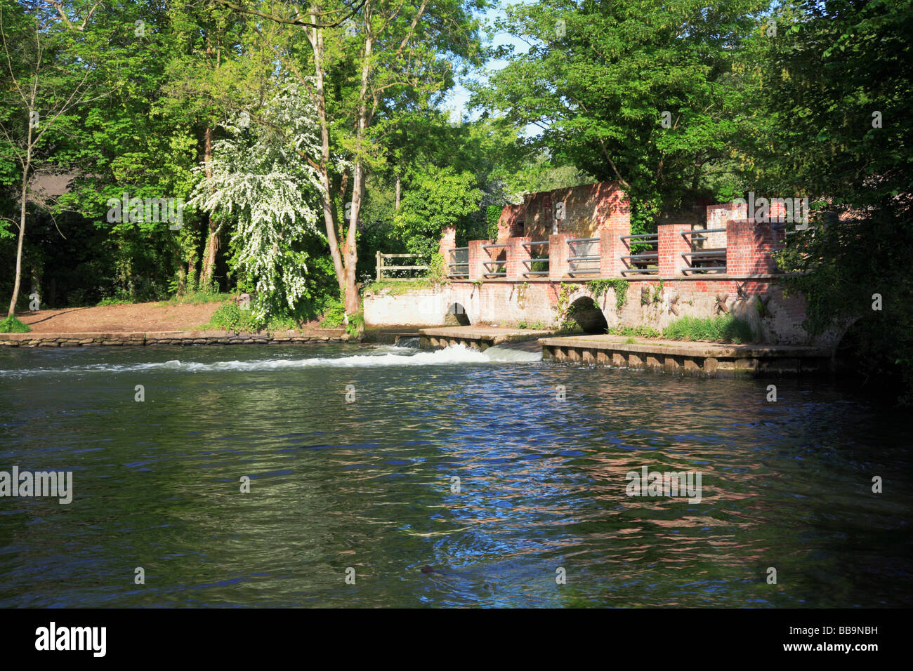 The mill pool on the River Bure at Horstead, Norfolk, UK. Stock Photo