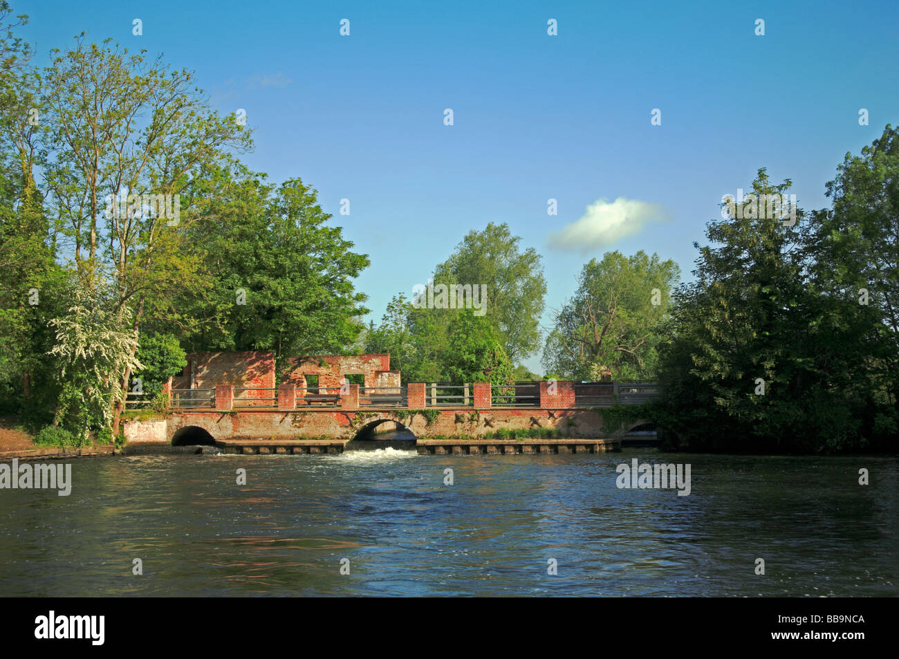 The mill pool on the River Bure at Horstead, Norfolk, UK. Stock Photo