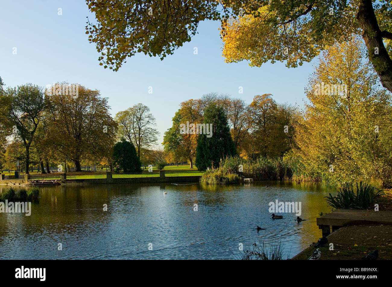 Pond in victoria park hi-res stock photography and images - Alamy