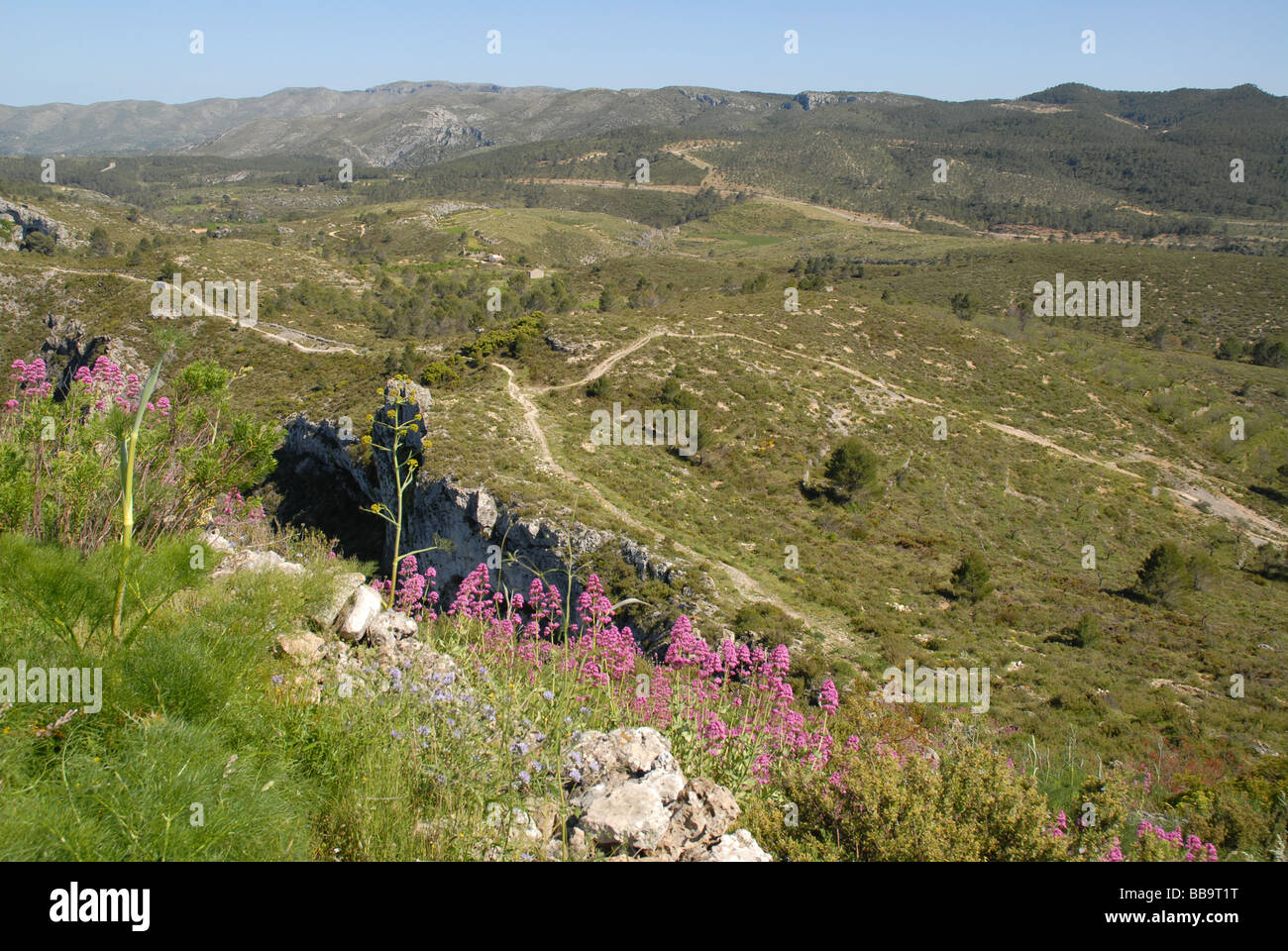 Sierra de La Forada, near Alcala de la Jovada, Alicante Province, Comunidad Valenciana, Spain Stock Photo