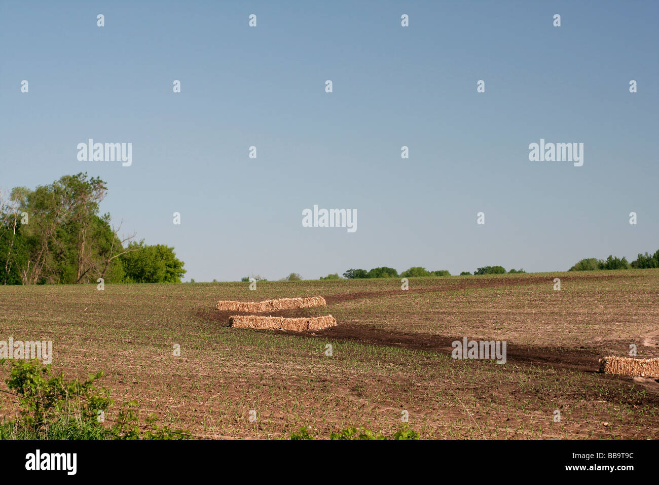 Straw bale temorary retainers on erosion control waterway in field, good practice Stock Photo