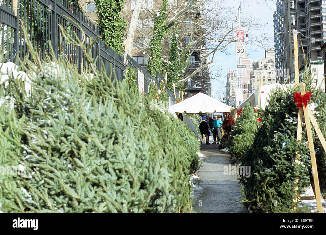 New York, Christmas trees for sale on First Avenue Stock Photo Alamy