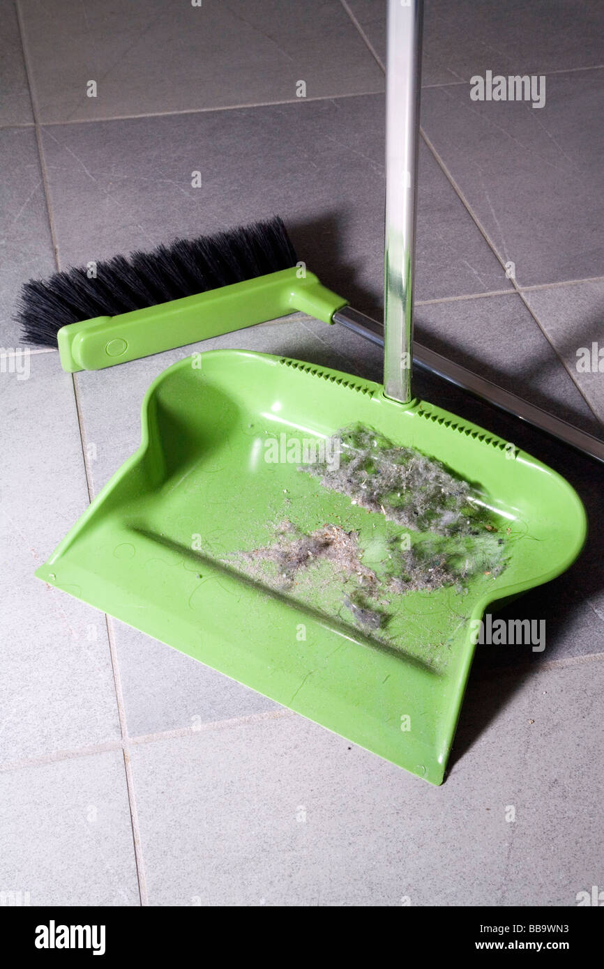 Dustpan on the floor broom and house dust Stock Photo