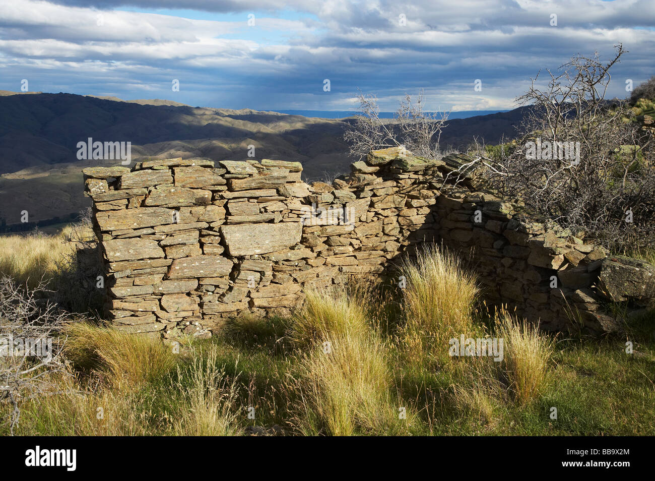 Remnants of Miners Cottage Carricktown Carrick Range Central Otago South Island New Zealand Stock Photo