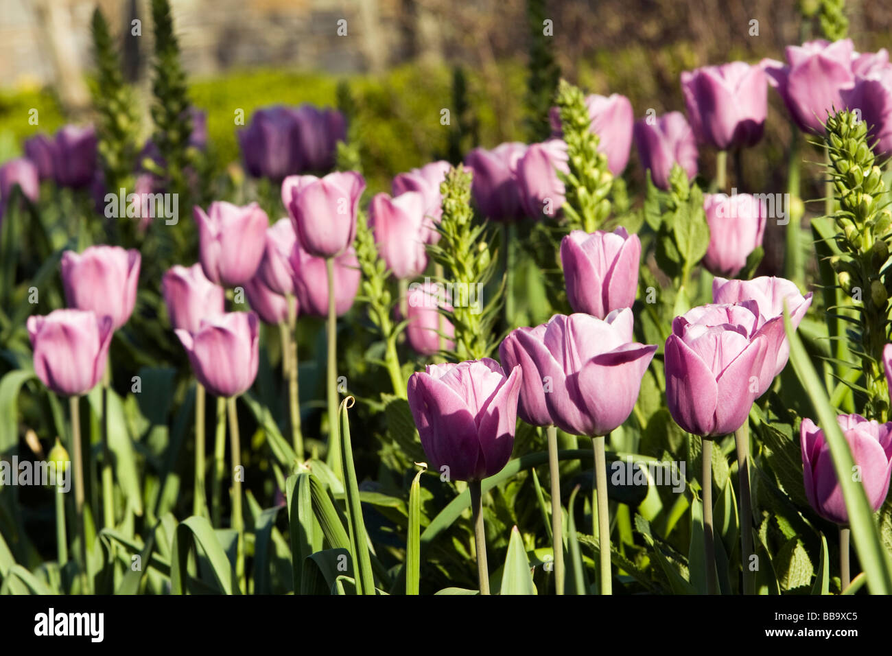 Asheville botanical gardens hires stock photography and images Alamy
