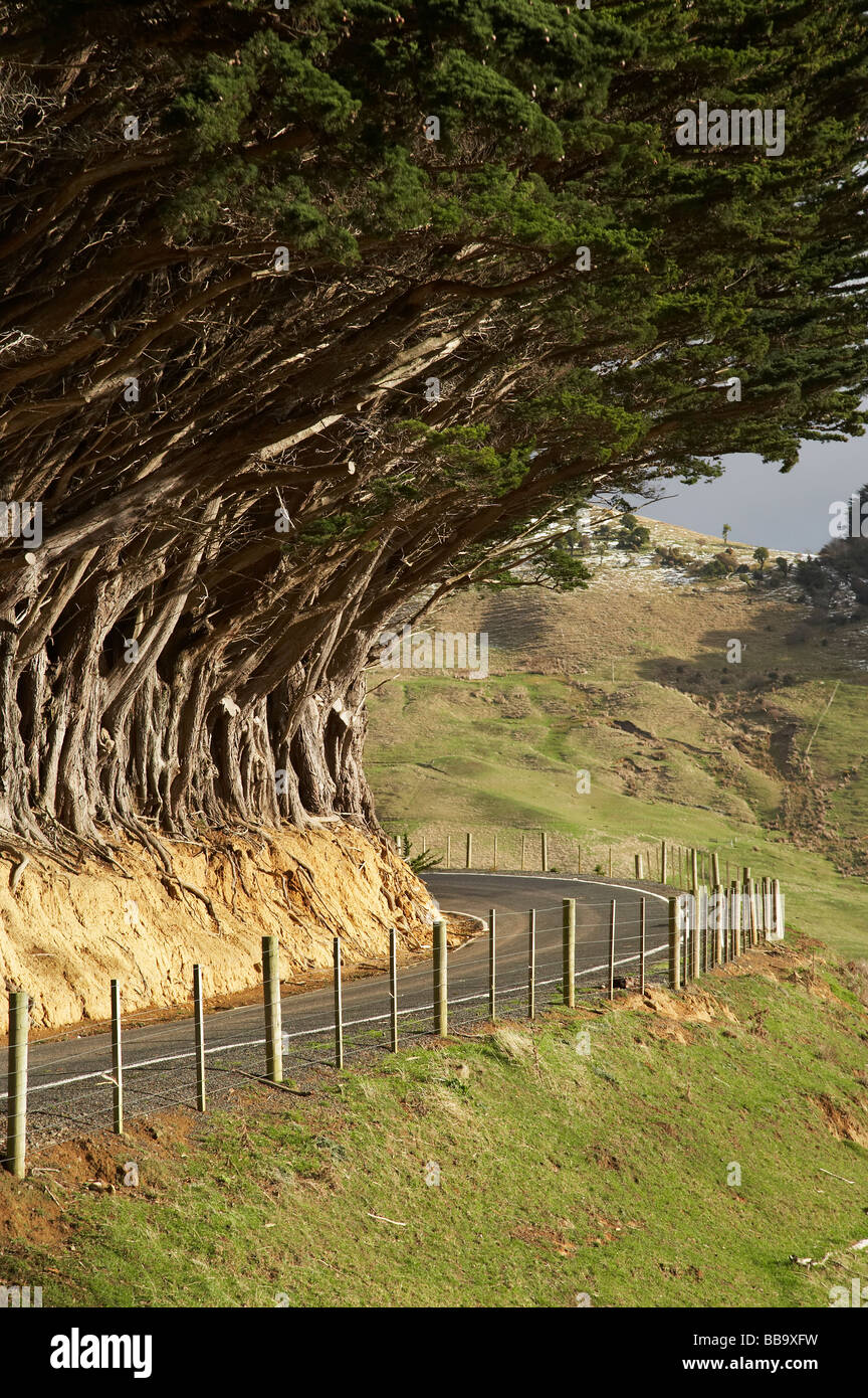 Fences And Trees High Resolution Stock Photography and Images - Alamy