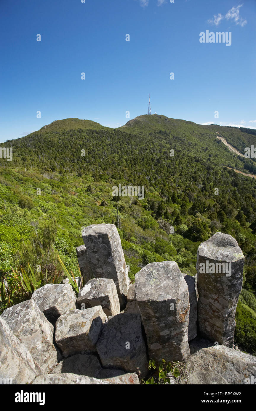 The Organ Pipes volcanic basalt rock columns Mt Cargill Dunedin Otago ...