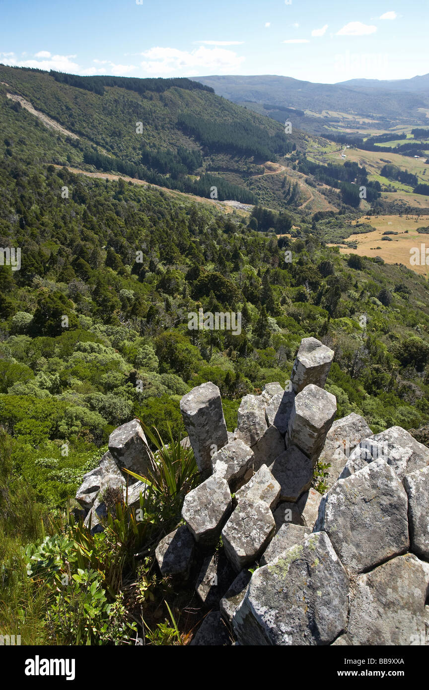 The Organ Pipes volcanic basalt rock columns Mt Cargill Dunedin Otago ...