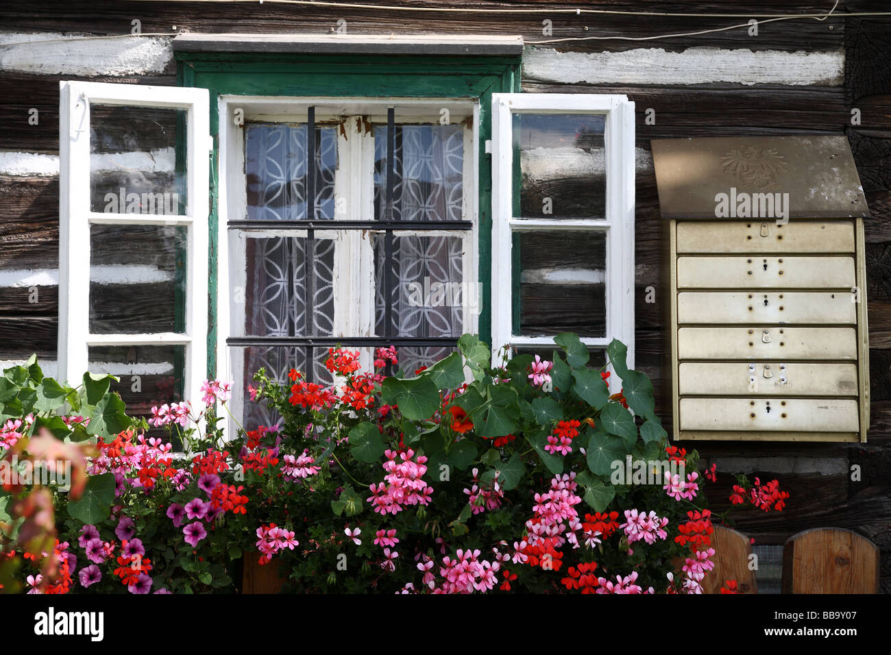 Colourful windowbox of geraniums, Austria Stock Photo - Alamy