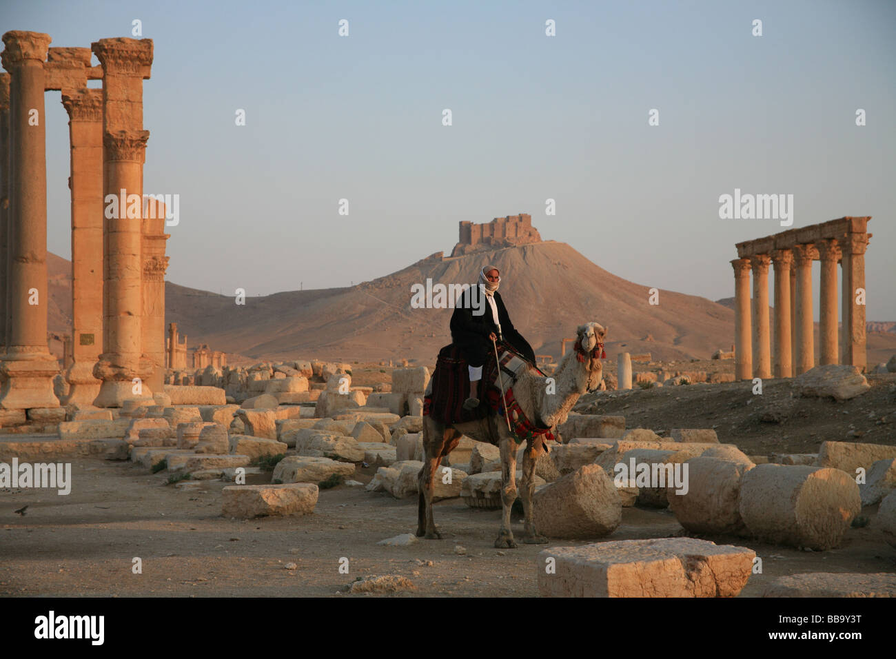 Colonnaded street Palmyra Syria Stock Photo