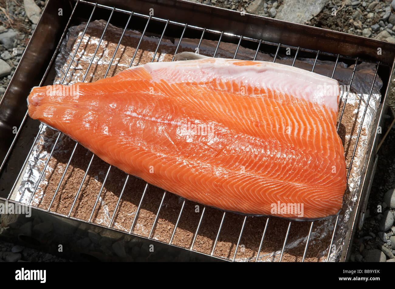 Smoking a Salmon Fillet on the Beach Lake Ohau Mackenzie Country South