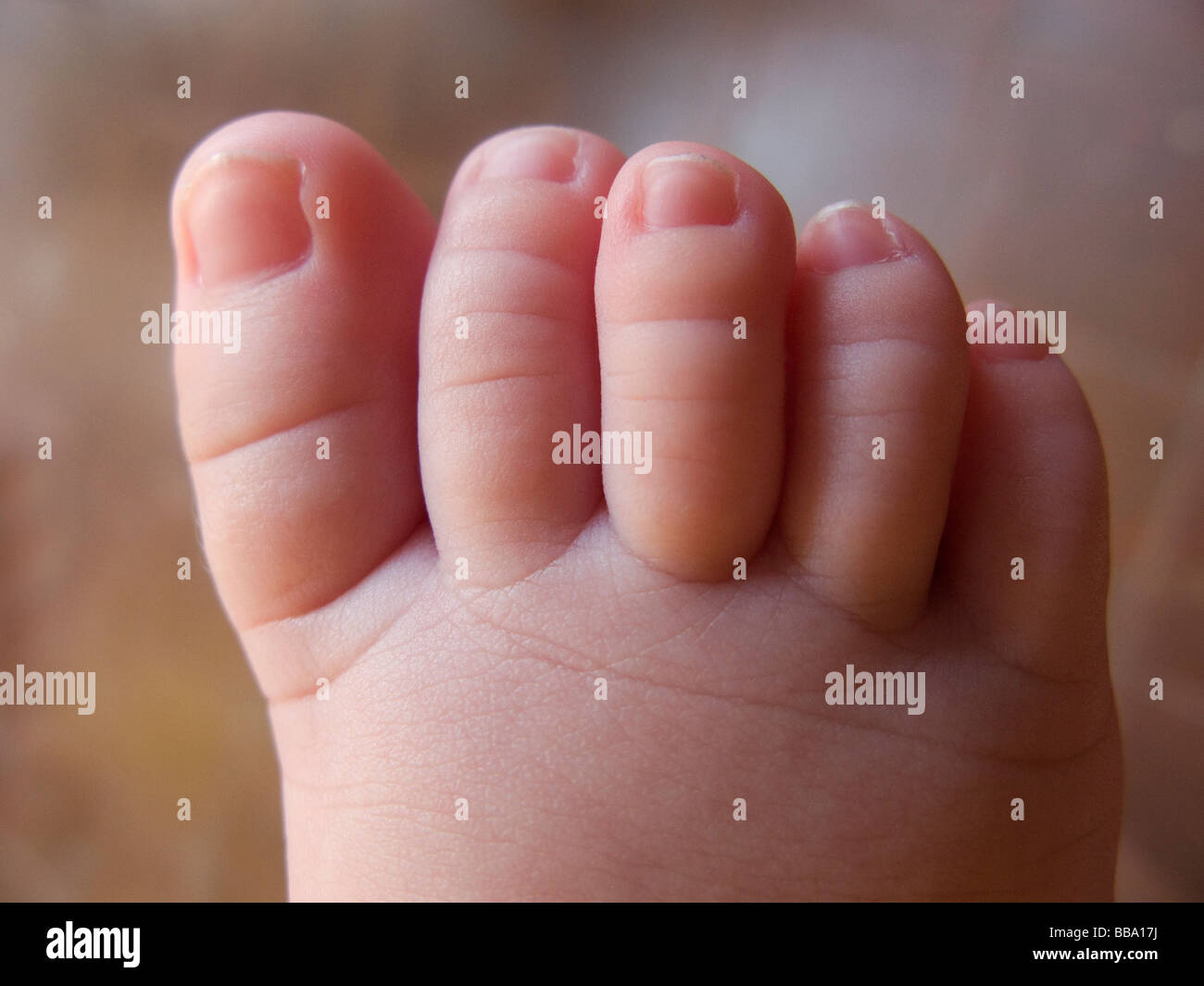four month old baby boy's foot Stock Photo Alamy