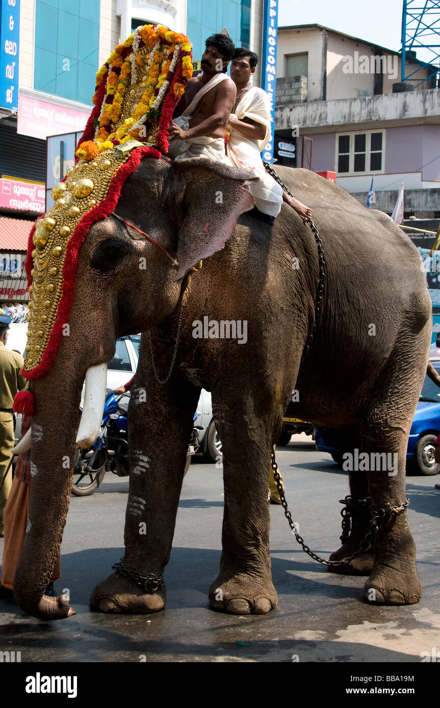 Richly decorated ceremonial temple Elephant going to a temple festival in trivandrum, Kerala Stock Photo