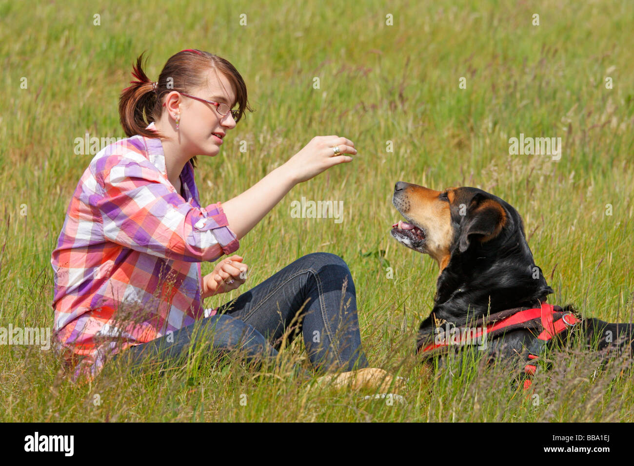 a young girl and her big dog Stock Photo - Alamy