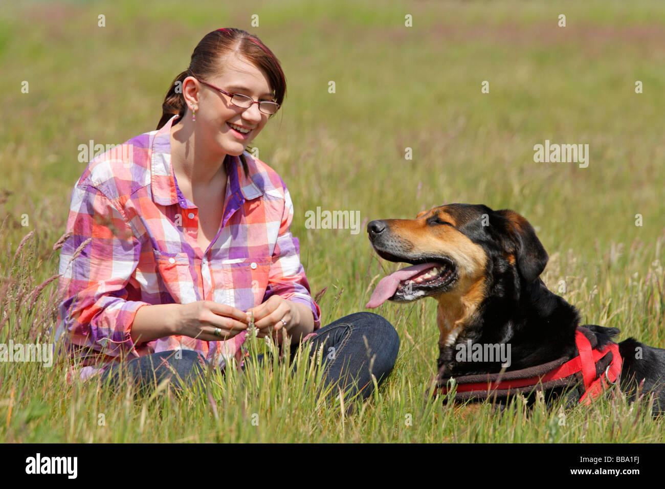 a young girl and her big dog Stock Photo - Alamy