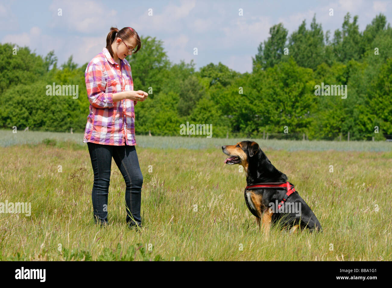 Sk401 1220 hires stock photography and images Alamy