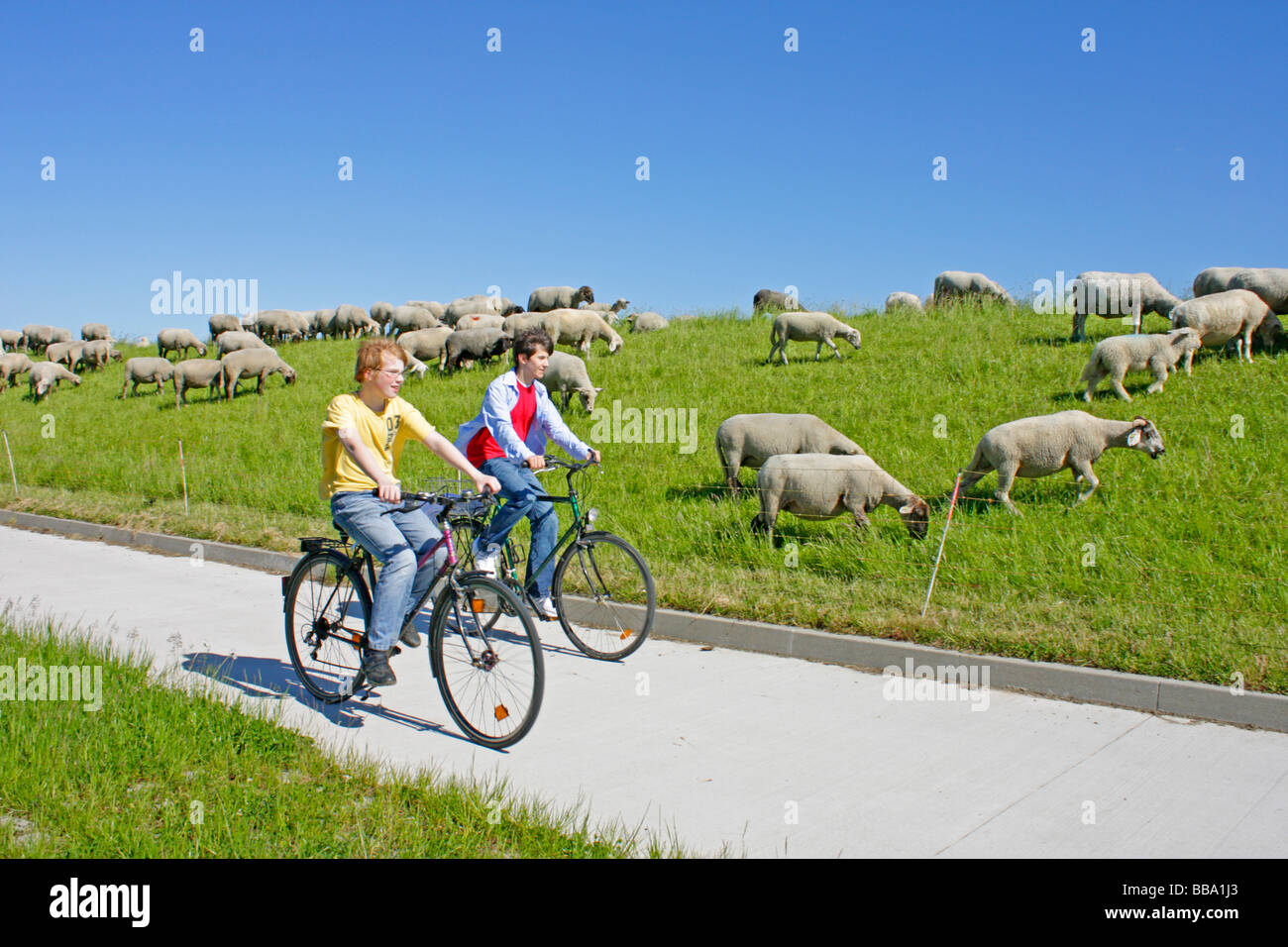 Elbe cycling path at Stiepelse in Lower Saxony Stock Photo
