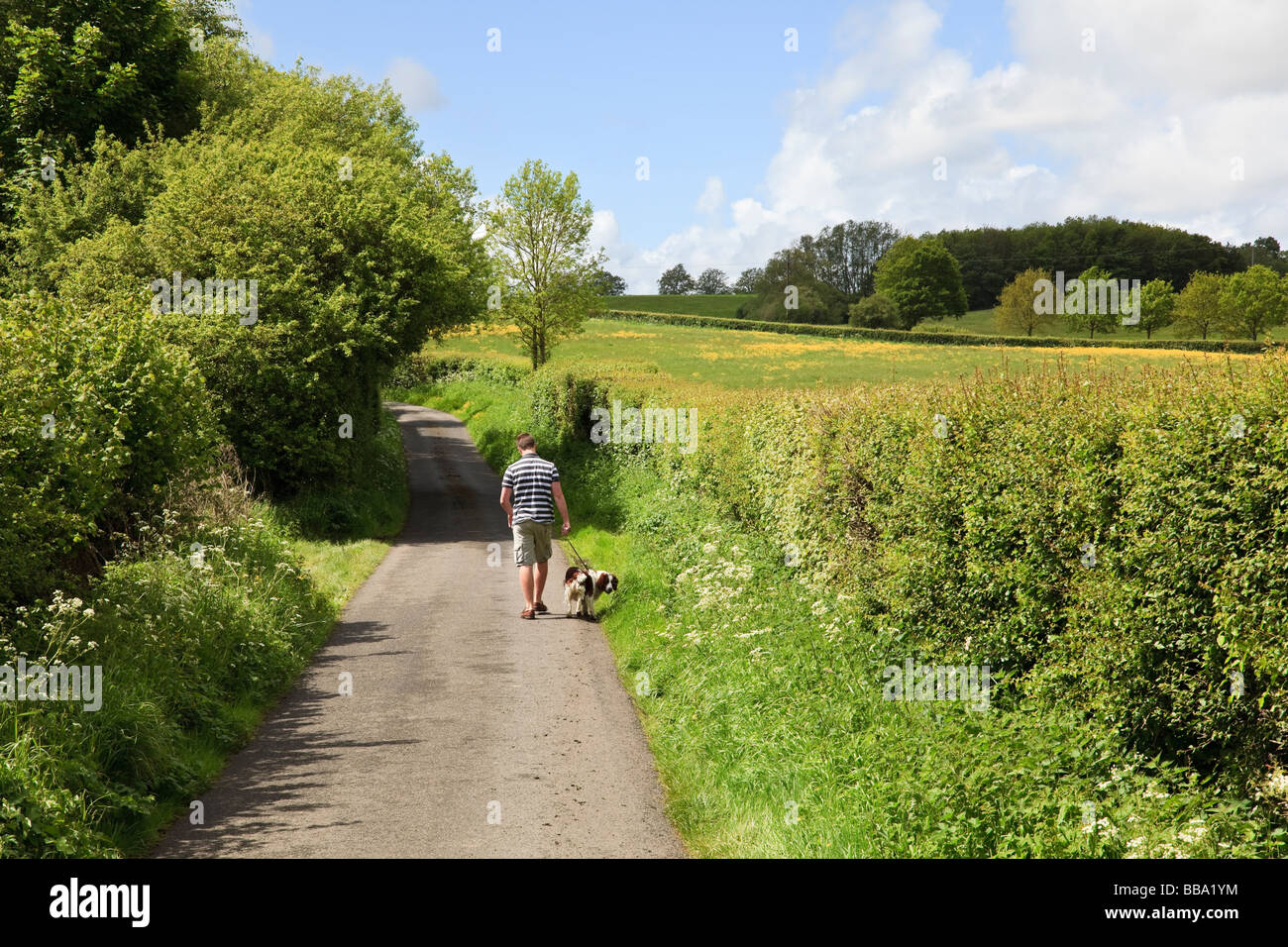 Man walking dog country lane hi-res stock photography and images - Alamy