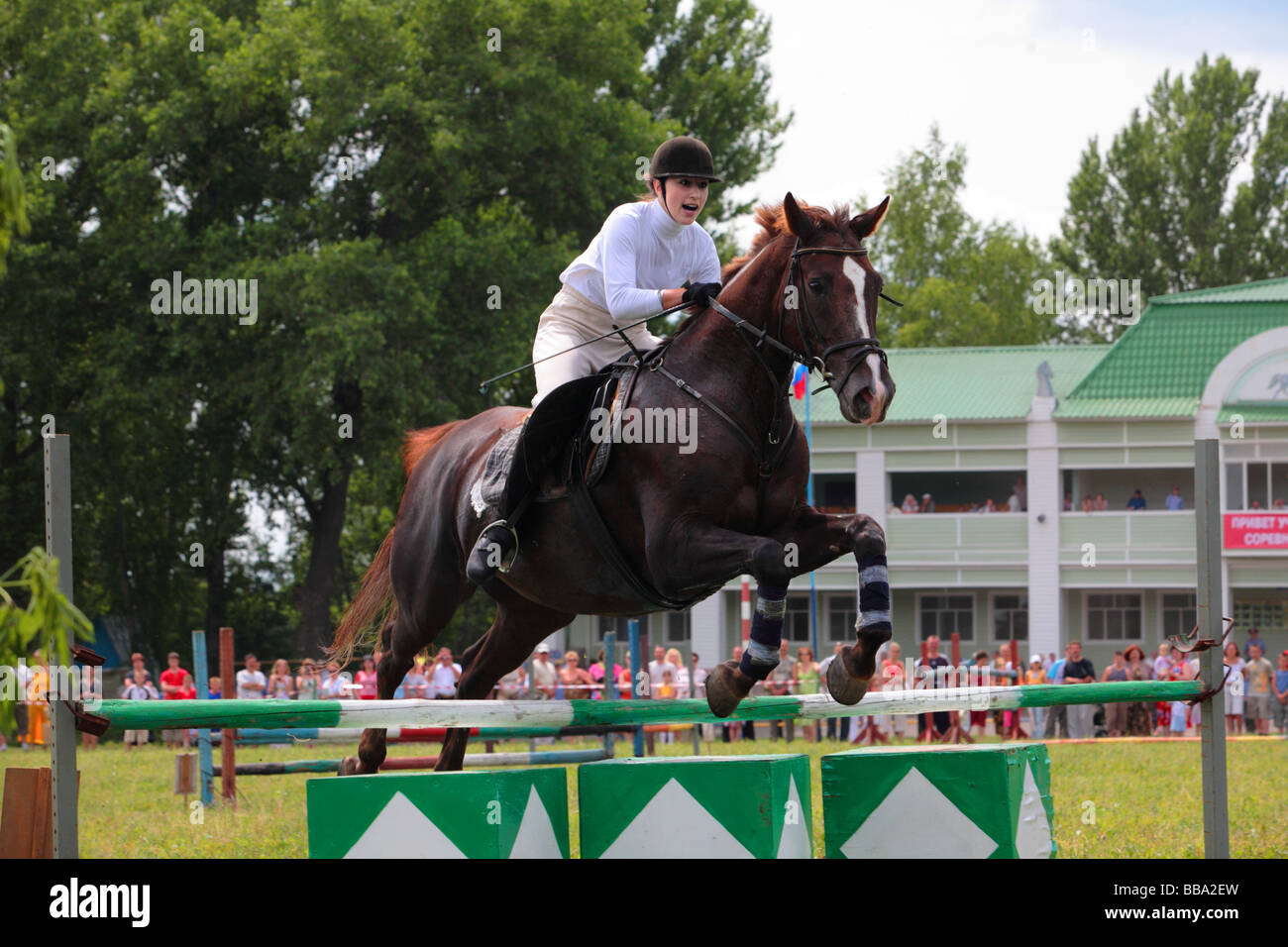 Horse and rider jumping fence Stock Photo - Alamy