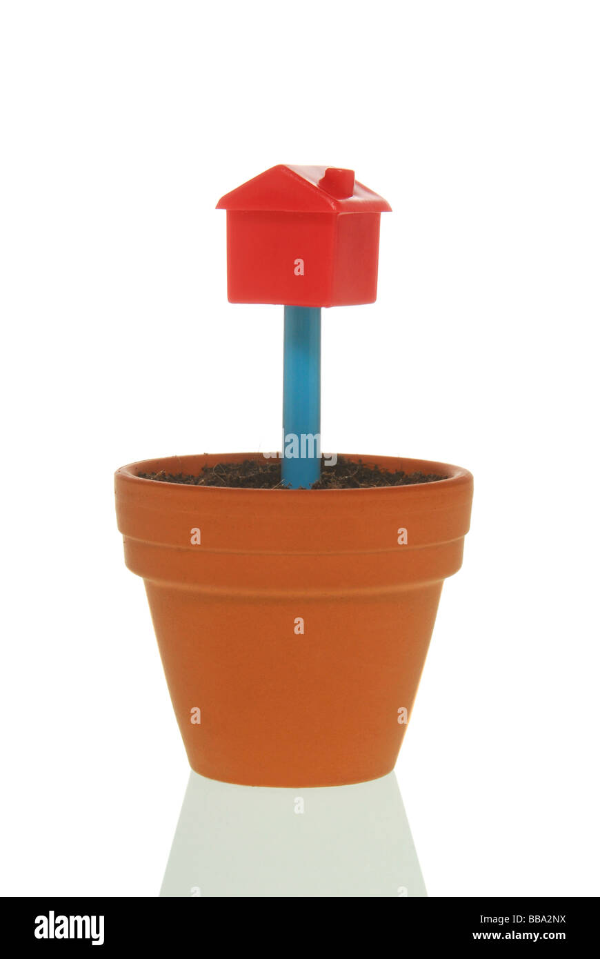Flowerpot with a model of a house, symbolic image for real estate, growth Stock Photo