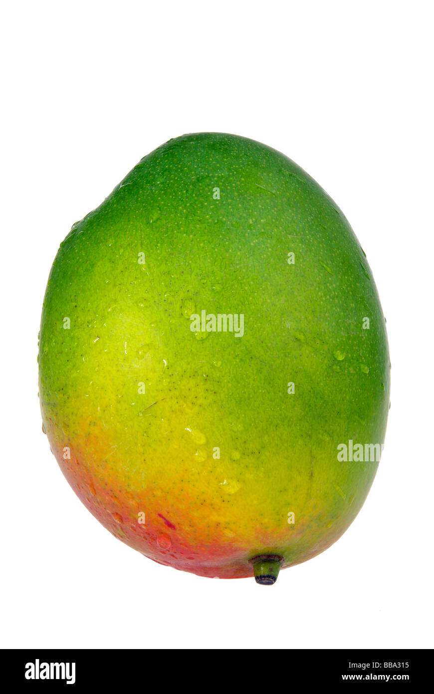 Mango Fruits Ripen And Rotten On A White Background Stock Photo - Download  Image Now - iStock