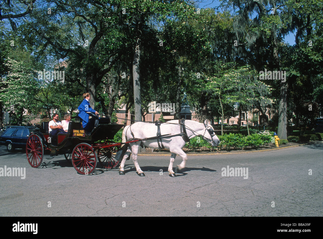 People Taking Horse Carriage Tour In Madison Square In Historic