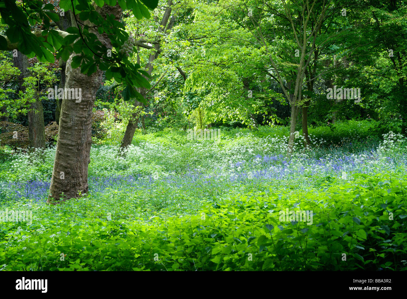 Peace quiet nature hi-res stock photography and images - Alamy