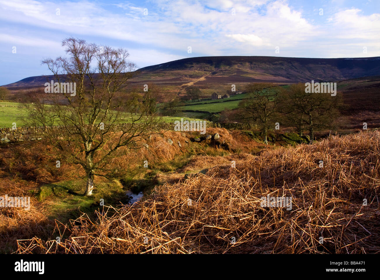 Dale Head Farm Stock Photo Alamy