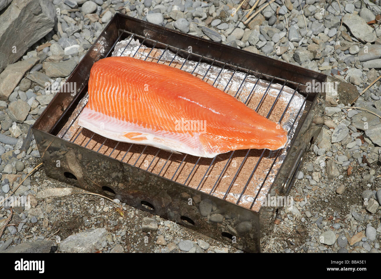 Smoking a Salmon Fillet on the Beach Lake Ohau Mackenzie Country South