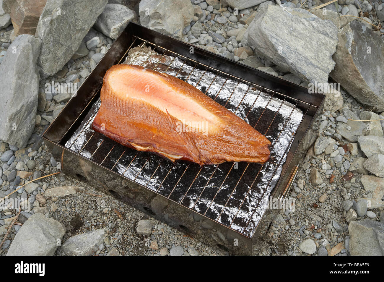 Smoking a Salmon Fillet on the Beach Lake Ohau Mackenzie Country South
