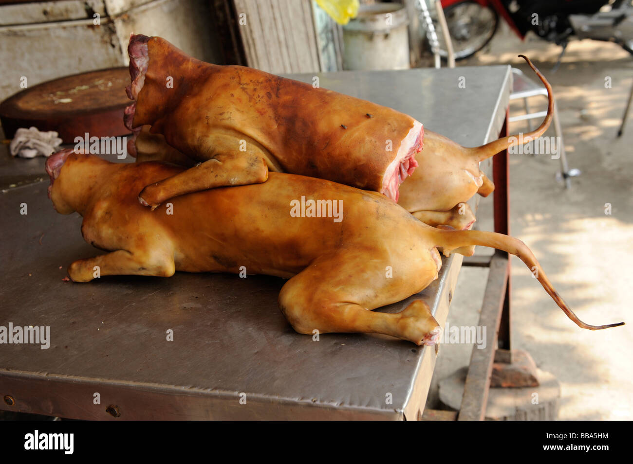 whole meat dogs for sale Hanoi vietnam Stock Photo Alamy
