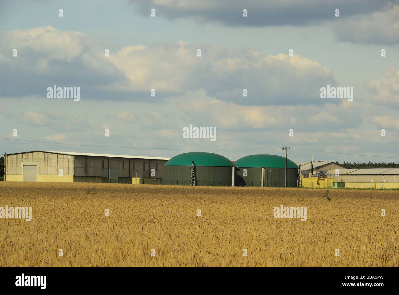 Biogas plant and silage hi-res stock photography and images - Alamy